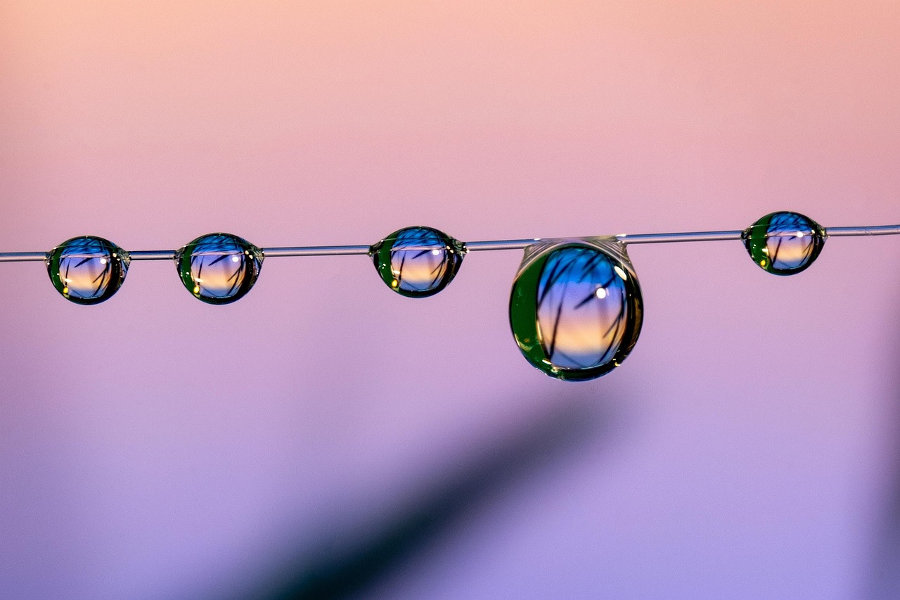 services-03 home studios, home studio, marco, nature, macro, sunset